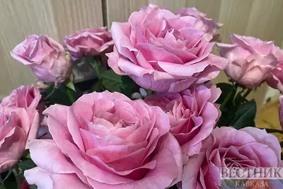 Первым товаром из Армении в Азербайджан оказались розы