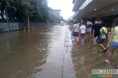 Глава МЧС РФ поставил задачи по ликвидации паводков в Дагестане и Чечне