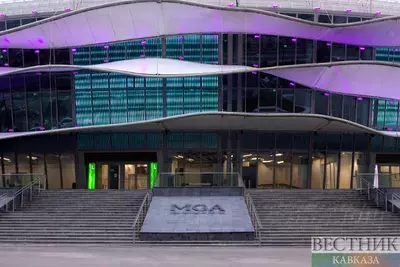 Баку будет ежегодно принимать турниры UFC