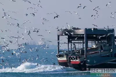 Рыболовный траулер