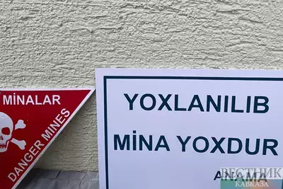 Выставка агентства ANAMA