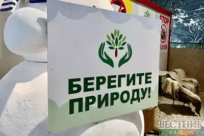 В Грузии увеличат штрафы за экологические нарушения