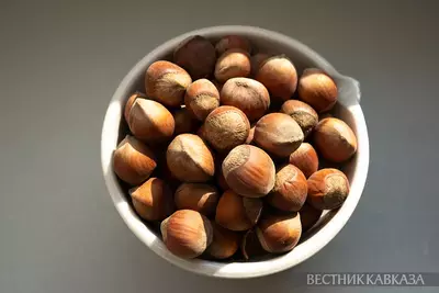 Фундук
