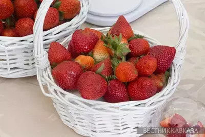 Клубника