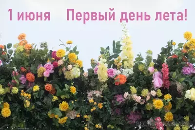 Открытка с началом лета