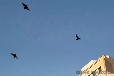 Здание парламента Ливана