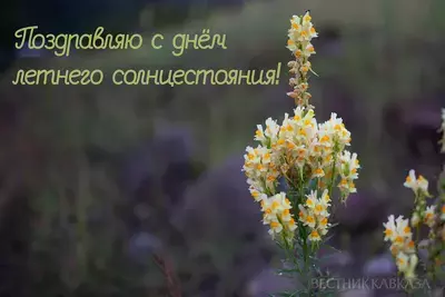Летнее солнцестояние в 2026 году: когда, что это такое, открытки и поздравления