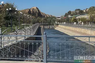 Зачем Узбекистану собственный торговый и паромный флот?