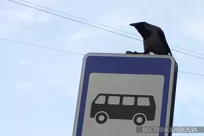 Ворона