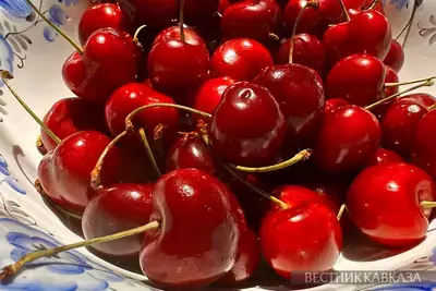 Черешня