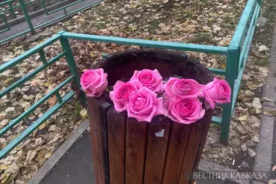 Цветы в помойке