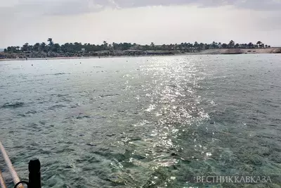 Красное море