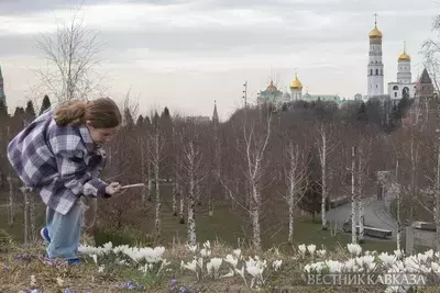 Цветение первоцвоцветов в парке Зарядье