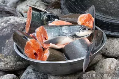 Лосось
