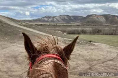 Катание на лошадях