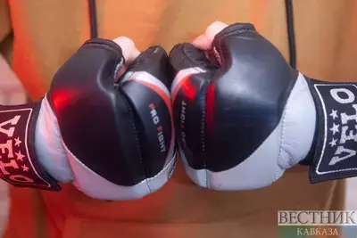 Бойцовские перчатки