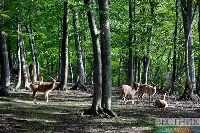 В СКФО обновят три национальных парка