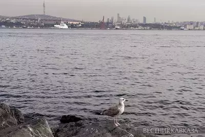 Вид на Босфор