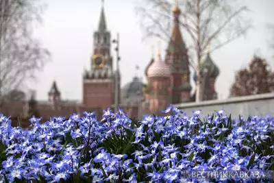 Хионодокса