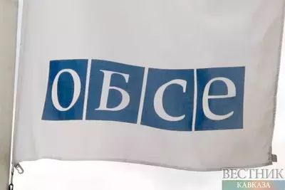 Положение дел в ОБСЕ обсудили Лавров и Синирлиоглу