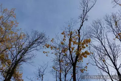 Осень