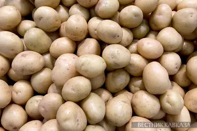 Картофель