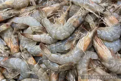 Креветки